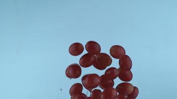 uvas voando em câmera lenta, filmadas com phantom flex 4k a 1000 quadros por segundo video