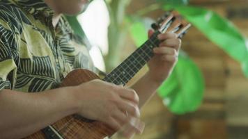 man die ukelele speelt in Hawaï video