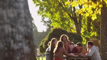 gruppo di studenti universitari nel campus che si incontrano all'aperto video