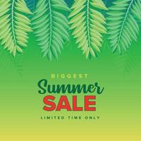 Colorful Luxury Summer sale tropical banner template vector