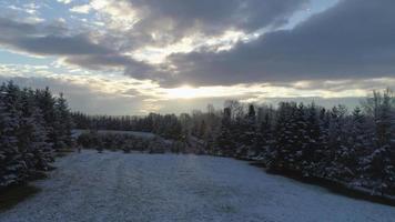 flyger över Oregon landsbygd på vintern täckt av snö