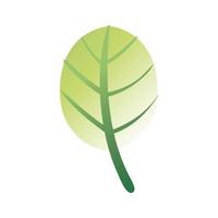 leaf plant hand draw style icon vector