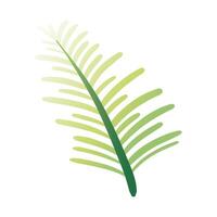 leaf palm hand draw style icon vector