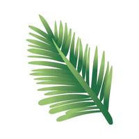 leaf palm hand draw style icon vector