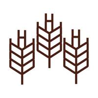 wheat spikes line style icon vector