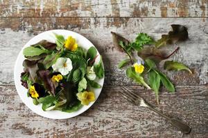 Mix of salad with flowers on a white plate photo