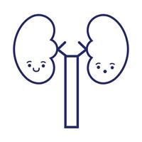 kidneys human organ kawaii line style vector