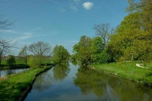 Park in the Netherlands photo