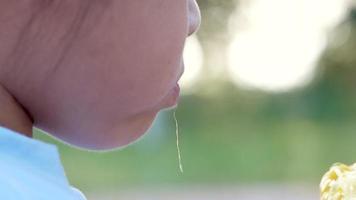 Cute little child girl eating sweet corn on the cob in the park Healthy and Vegetarian food video