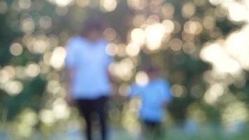 glückliche Mutter mit Tochter, die Hand in Hand zusammen im Garten bei Sonnenuntergang geht Hintergrundkonzept der Familienbeziehungen video