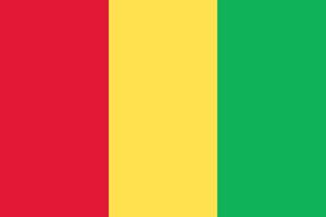 Guinea officially flag vector