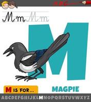 letter M from alphabet with cartoon magpie animal character vector