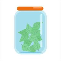 Mint leaves in a glass jar with a closed lid, blanks of dried herbs, vector illustration in flat style, isolate, cartoon