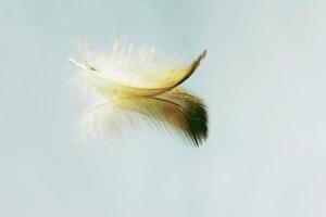 An amazing macro image of a feather on a mirror with a beautiful reflection that makes feel it calm and peaceful photo