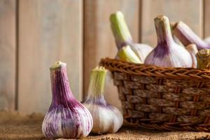 Fresh garlic on a wooden background Fragrant spice for cooking
