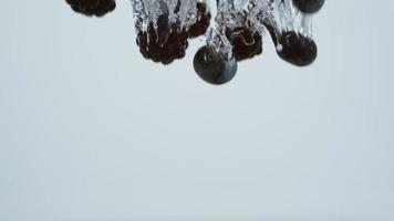 Slow motion shot of raspberries, strawberries and blueberries splashing into water, shot with Phantom Flex 4K camera. video