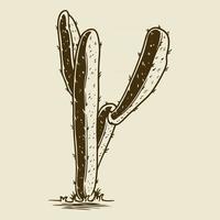 Ilustración de vector de estilo de dibujo de cactus