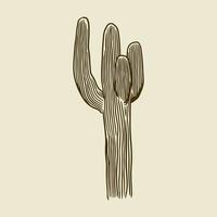 cactus dibujados a mano vector