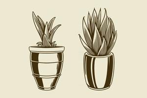 Set of hand drawn house plants in pots vector