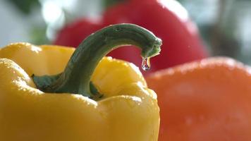 Water drips on bell peppers in slow motion shot on Phantom Flex 4K at 1000 fps video