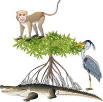 Monkey on mangrove tree with great blue heron in cartoon style on white background vector