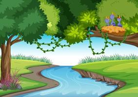 Nature outdoor forest background vector