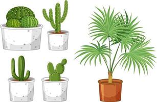 Set of different cactus in pot on white background vector