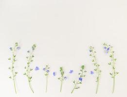 Wildflowers on beige background with copy space. photo