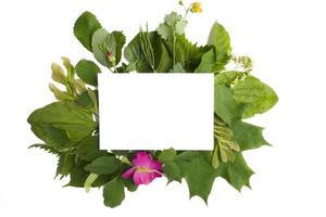 A composition of white paper and tree branches with green leaves around on a white background. Billboard, poster layout for your design. Flat layout, top view, copy space photo