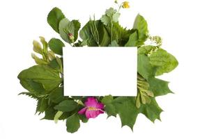 una composición de papel blanco y ramas de árboles con hojas verdes alrededor sobre un fondo blanco. cartelera, diseño de carteles para su diseño. diseño plano, vista superior, espacio de copia foto