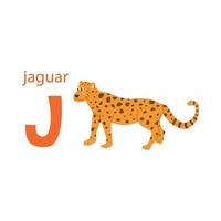 linda tarjeta de jaguar. alfabeto con animales. diseño colorido para enseñar a los niños el alfabeto, aprender inglés. ilustración vectorial en un estilo de dibujos animados plana sobre un fondo blanco vector