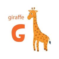 linda tarjeta de jirafa. alfabeto con animales. diseño colorido para enseñar a los niños el alfabeto, aprender inglés. ilustración vectorial en un estilo de dibujos animados plana sobre un fondo blanco vector