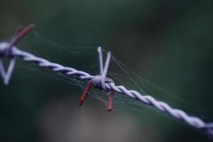 metallic barbed wire fence photo