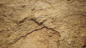 Closeup Dry Soil Ground