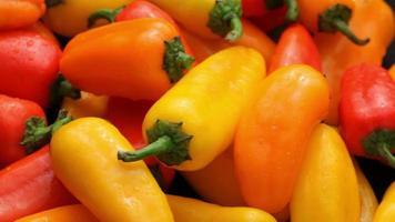 Fresh Colourful Peppers video