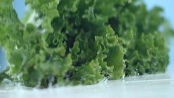Salat fällt und spritzt in Zeitlupe, aufgenommen auf Phantom Flex 4k bei 1000 fps video
