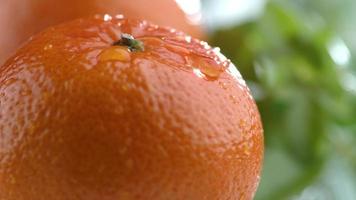 gouttes d'eau sur orange au ralenti tourné sur fantôme flex 4k à 1000 fps video