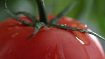 extreme close-up van waterdruppel op tomaat in slow motion geschoten op phantom flex 4k met 1000 fps video