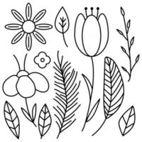 Botanical leaves set Collection of tropical plants and flowers vector