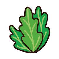 lettuce fresh line and fill style vector