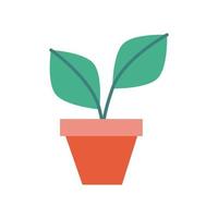 house plant flat style vector