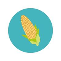 corn cob block and flat style vector