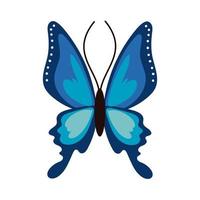 beautiful butterfly insect blue flat style icon vector