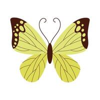beautiful butterfly green insect flat style icon vector