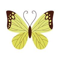 hermoso icono de estilo plano de insecto verde mariposa vector