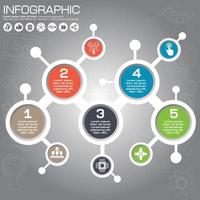 Vector infographic template for circular diagram graph presentation chart business concept