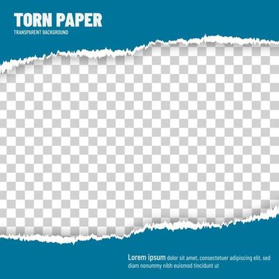 Torn paper blue vector