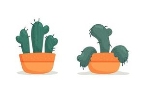 Stages of withering wilted cactus in a vase abandoned plant without watering and care Succulent dying vector