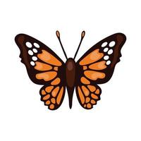 beautiful butterfly orange insect flat style icon vector