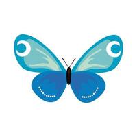 beautiful butterfly insect blue flat style icon vector